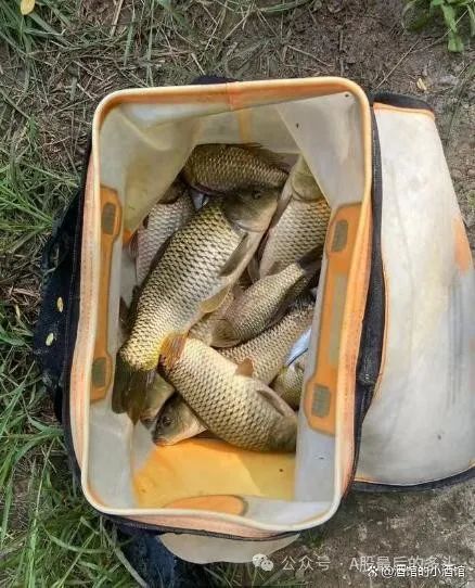 炒股散户高手经验丰富_散户炒股入门_散户高手炒股经验