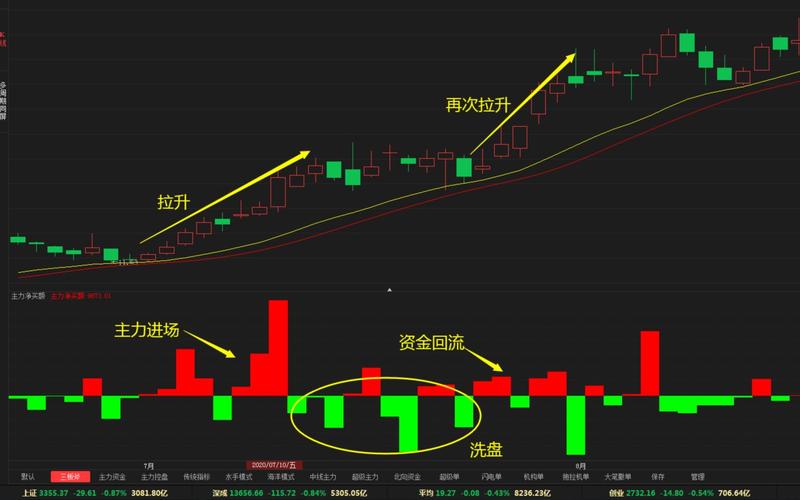 主力资金流向指标_股票主力资金怎么看_主力资金进场信号