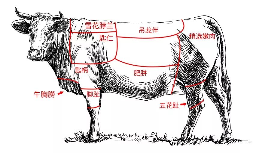 中国股市发展史_中国资本市场发展历程_为何a股会有黄金十年