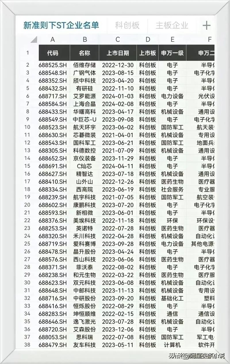 被摘牌的股票_国九条退市公司名单_2024年报退市风险警示