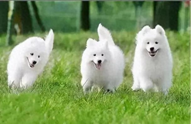 当今社会道德品质参差不齐？十大规范来啦，快看看你中几条