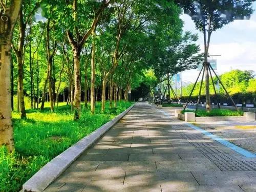 道德行为习惯_道德行为规范_十大道德行为