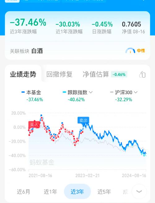 _基金跌了怎么办_ 白酒基金投资日记 