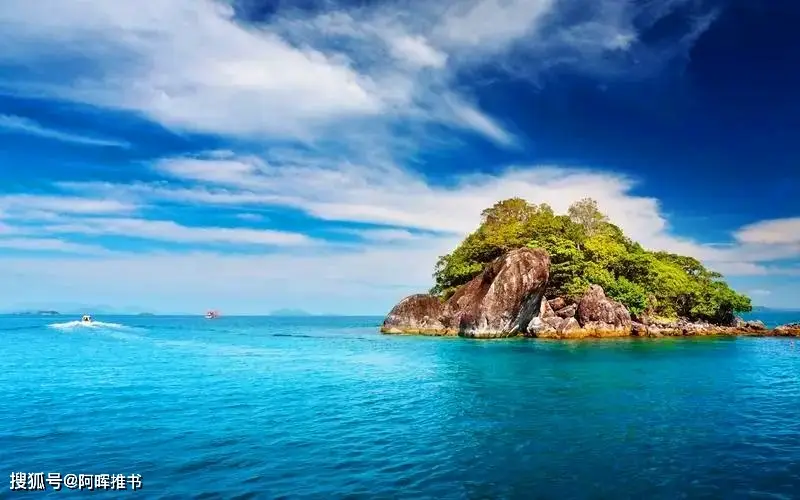 主角重生赚钱都市小说_都市重生交友网站_重生2001年创业故事