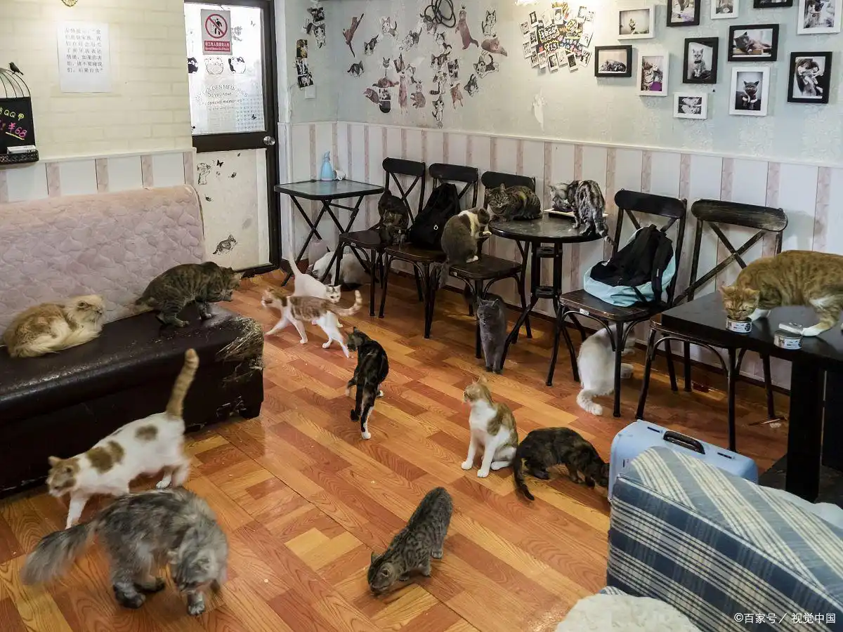 乡镇创业小生意项目_小城市做什么生意赚钱_乡镇特色小吃店经营