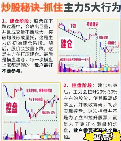 如何跟主力炒股_跟主力炒股技巧_识别主力踪迹方法