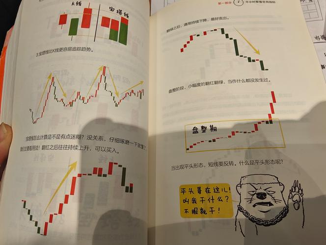 炒股入门必读书籍_新手炒股看什么书_炒股的智慧第四版pdf