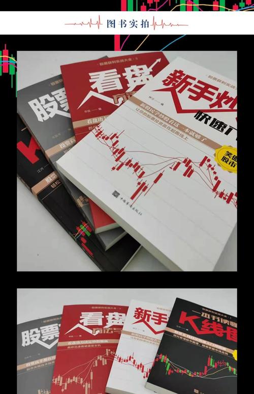 炒股的智慧第四版pdf_炒股入门必读书籍_新手炒股看什么书