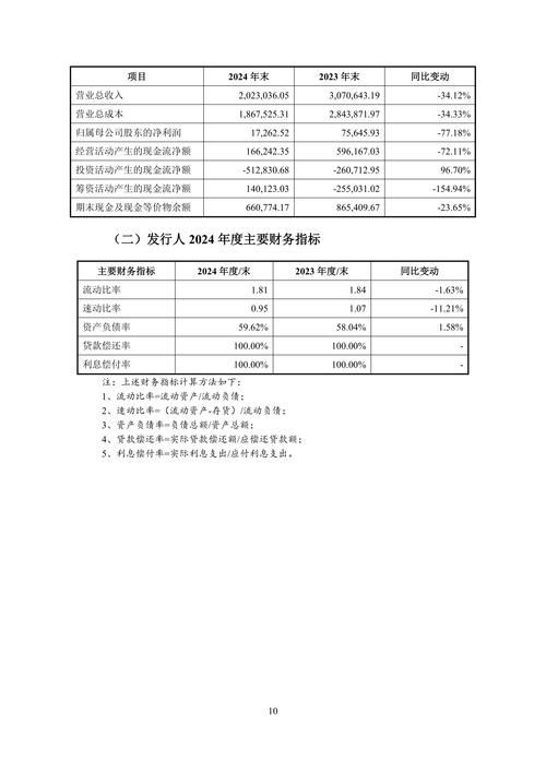 中国宝安 股票_长信低碳环保量化股票A重仓股_中国宝安股票分析