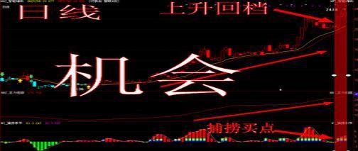 用有限公司的名义炒股好处_做精一只股_K线选股技巧