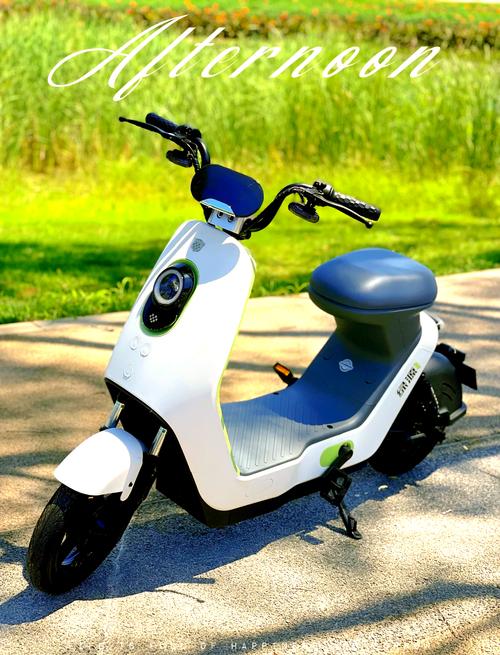 电动自行车发展有声有色，带来哪些便利？款式多样超实用