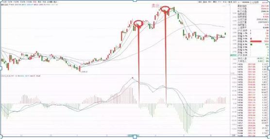 用有限公司的名义炒股好处_股市7亏2平1赚的原因_炒股成为有钱人靠谱吗