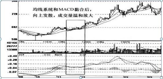 炒股成为有钱人靠谱吗_用有限公司的名义炒股好处_股市7亏2平1赚的原因