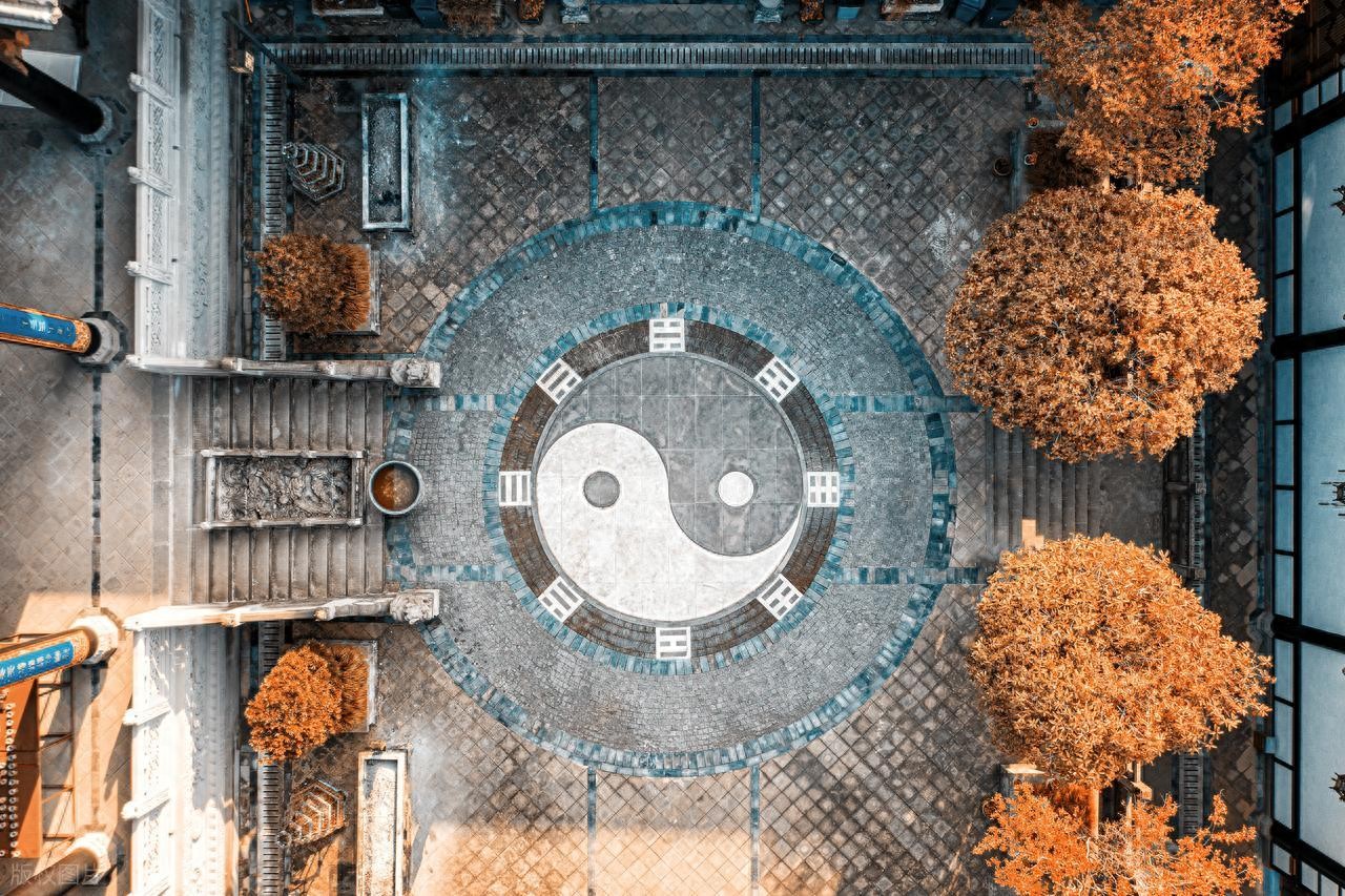 富翁丢狗酬金递增，乞丐见好未收，最终狗死留教训