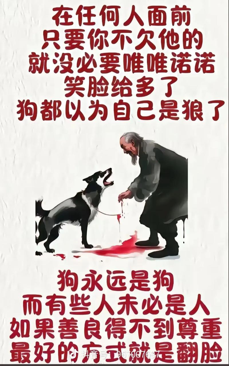 股市趋势分析技巧_怎么看股票是不是a股_股票投资风险收益