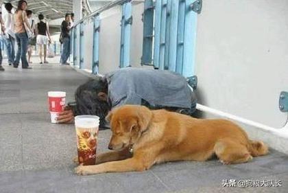 股票投资风险收益_怎么看股票是不是a股_股市趋势分析技巧