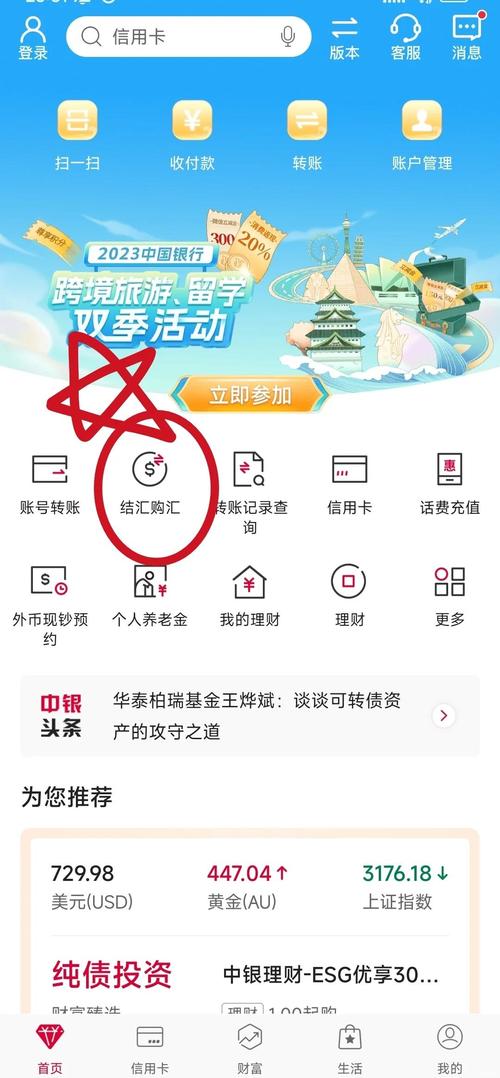 个人购汇服务_外汇理财产品实际上是_中行购汇渠道