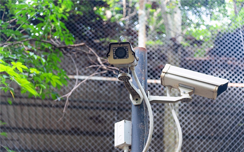 农村运输建筑材料_农村流动蔬菜销售_轻松赚钱小项目