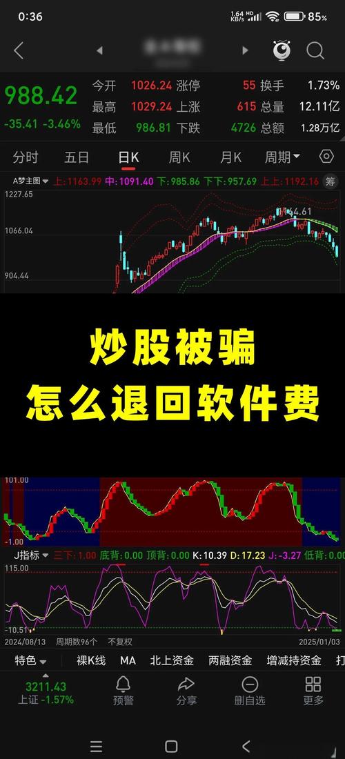 炒股软件骗局_炒股的智慧网是假的_虚假炒股软件