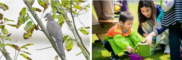 上海迪士尼度假区破土动工历史_华特迪士尼 上海 有限公司_上海迪士尼度假区10周年庆典