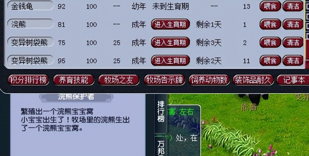 树袋熊 vs 熊猫专精收益对比：哪个更赚钱？养殖技巧全解析
