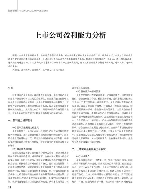 大连中盈科技股份有限公司 核心技术竞争力 财务状况分析_大连中盈科技股份有限公司