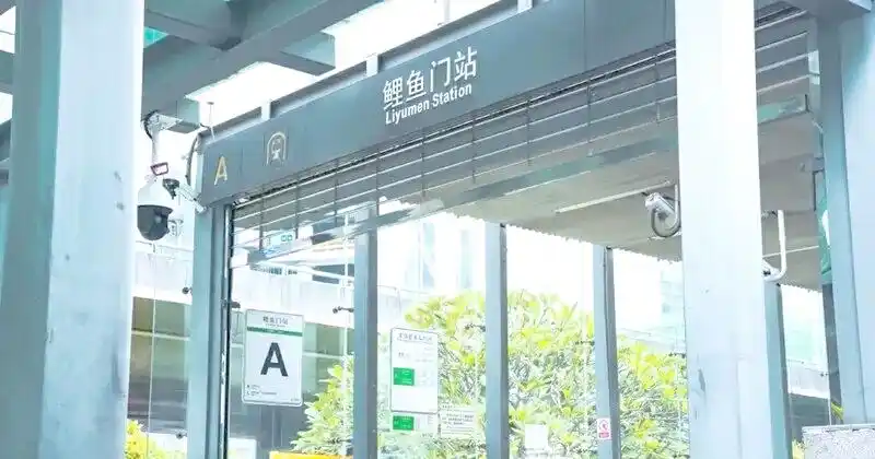 股市放假安排2025最新通知_深圳节日氛围与地铁风采_2025年股市休市安排