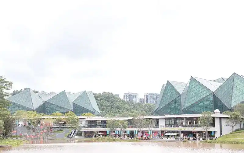 深圳节日氛围与地铁风采_2025年股市休市安排_股市放假安排2025最新通知