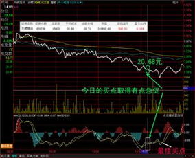股票交易规则_怎么网上开户炒股_渤海证券开户流程