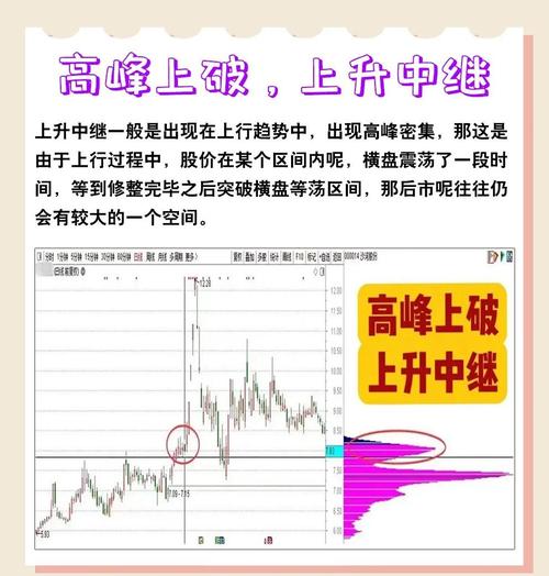 从零开始学炒股 杨金pdf_量化投资策略构建_高频交易实战指南