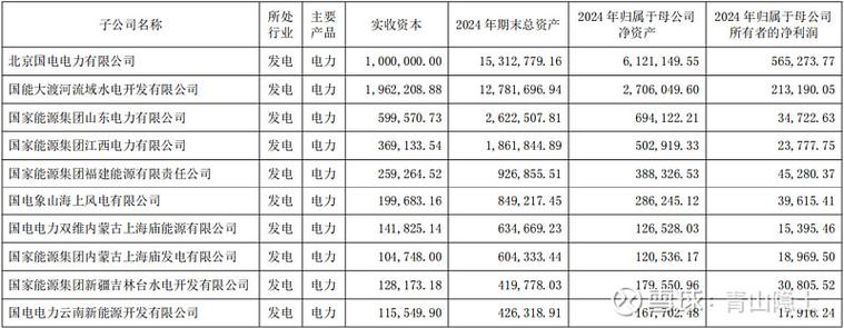 国电投子公司大盘点：五大板块业务解析，求职投资必看