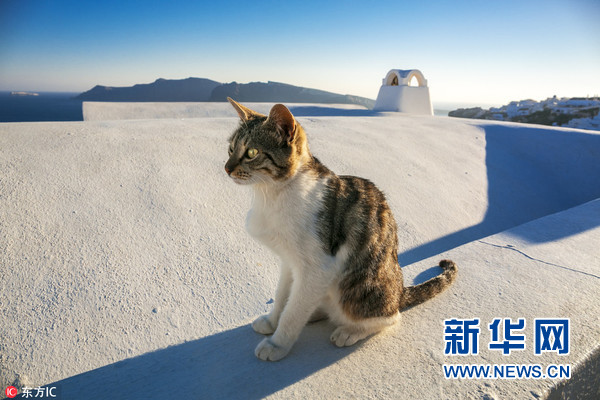 盘点那些意想不到又有趣有用的工作，看看什么工作辛苦能赚钱