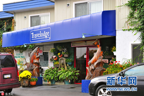 带喵星人上班_什么工作辛苦能赚钱_最意想不到的工作