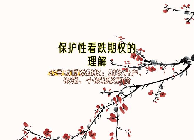 保护性看跌期权策略_买入看跌期权对冲风险_买入看跌期权最大的损失是