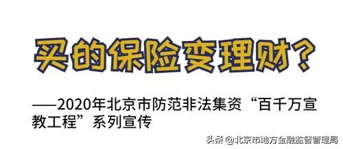 保险公司楼下投资人维权，揭开非法集资大案内幕