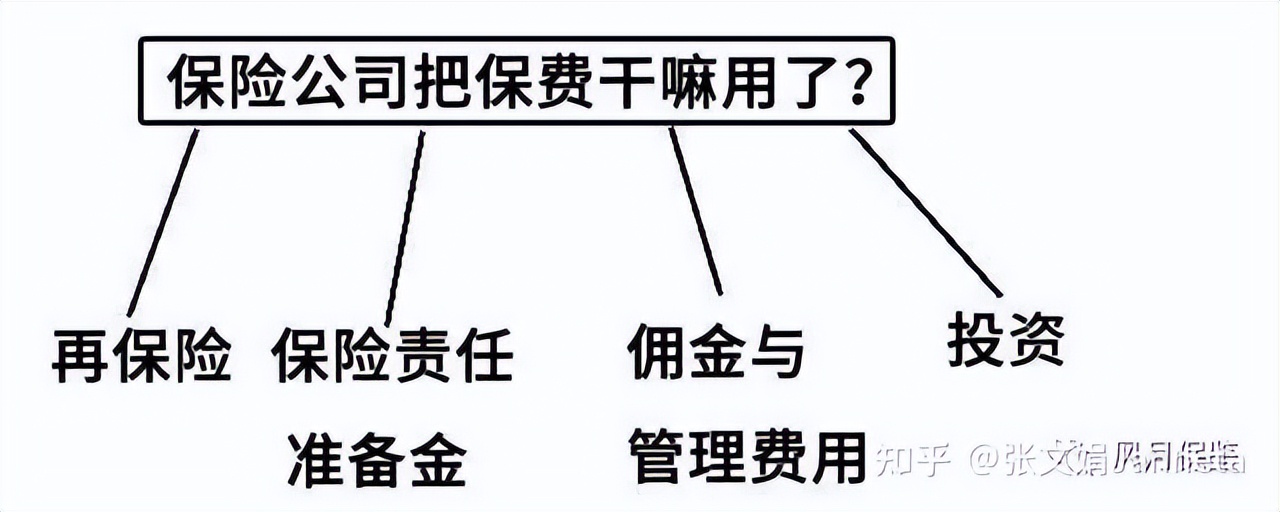 保险公司理财方式_财富中国500强排行榜_什么是保险理财