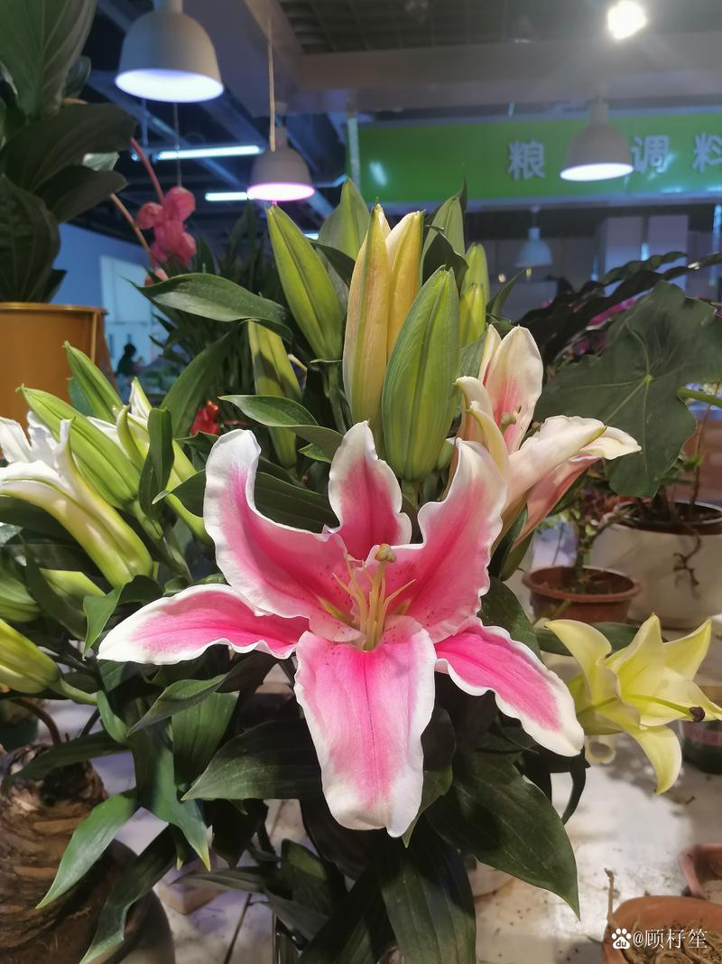 企业并购估价的基本方法_并购估值锚定效应_第一口价心理战