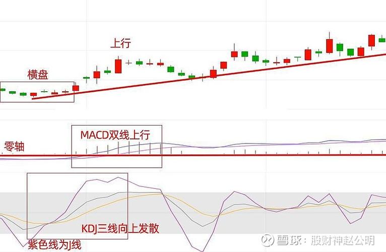 股票趋势分析必看！这些指标助你精准把握投资机会