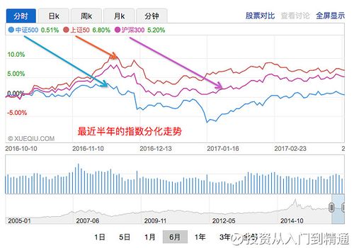 股指期货交易规则详解_股指期货基础知识20260223_股指期货交易入门技巧
