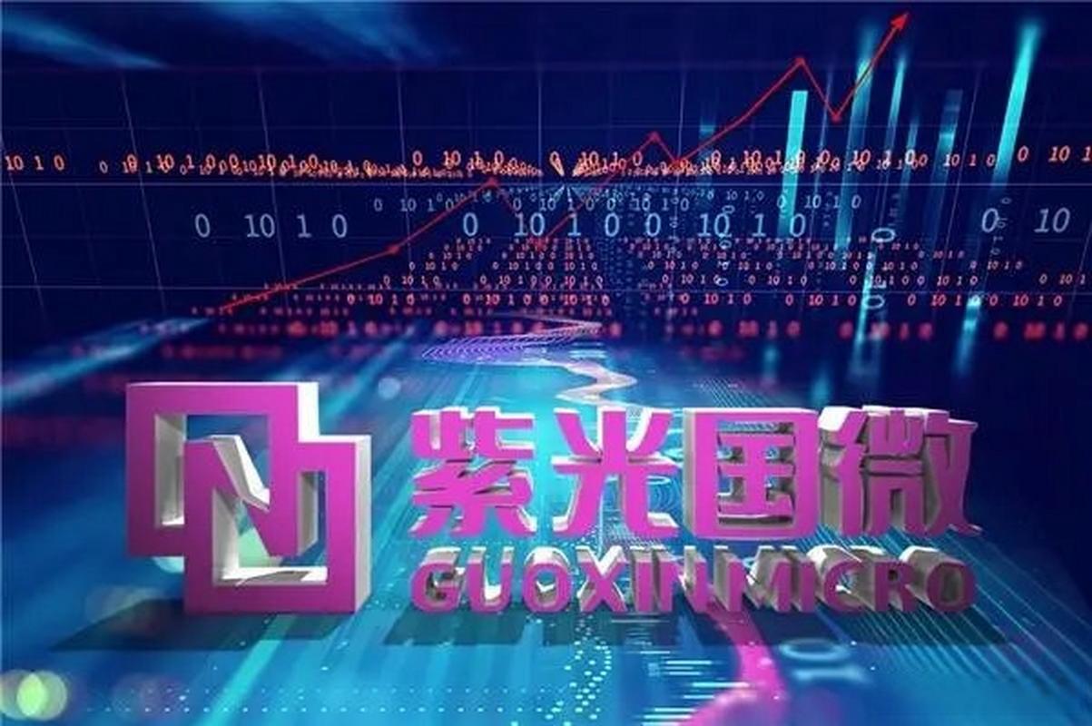 紫光国微股票目标价是多少 2026年估值与操作建议