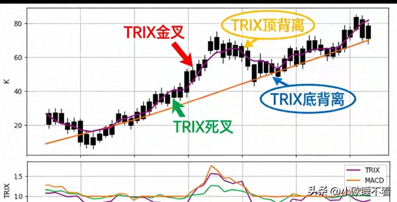 MACD与TRIX指标对比_TRIX指标实战用法_股票里的趋势线是哪条