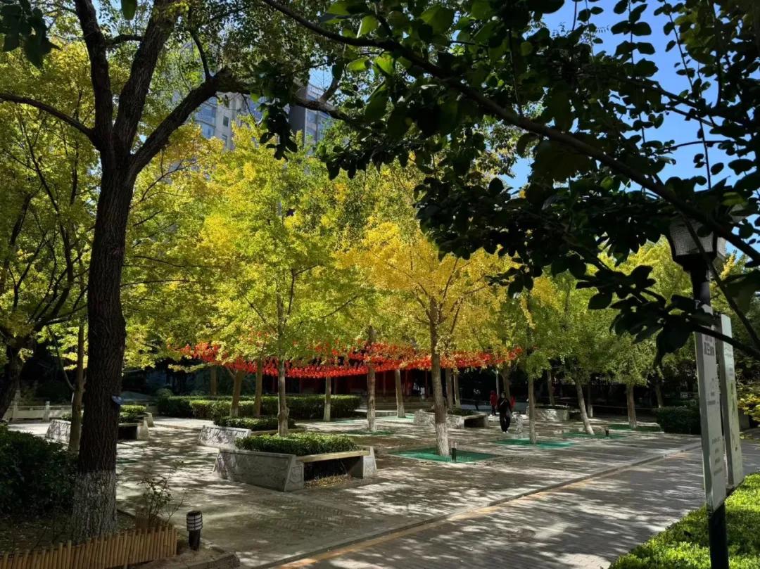 罗西住宅区价格会跌吗_树景房 北京 二手房 运营