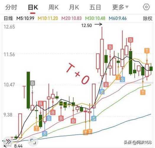 日内T+0实操技巧_股票t+0操作策略:每天都是小牛市_散户做T避坑