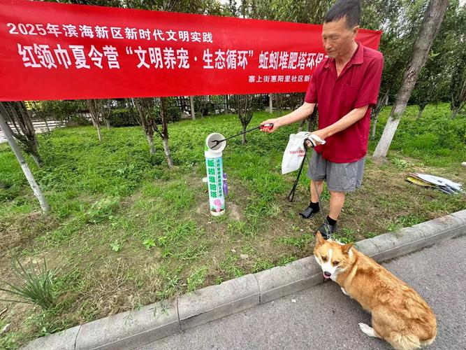 小本赚钱金点子：清理宠物粪便也能月入过万