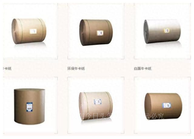 张茵 传奇人生_张茵 爱上一个_从贫苦到首富的废纸女王