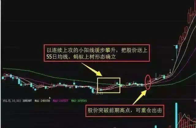 股票上涨的信号图：蚂蚁上树形态，教你抓底部启动牛股