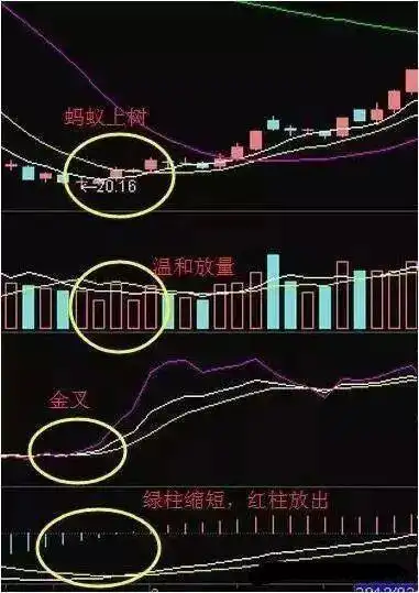 蚂蚁上树形态_135均线战法_股票上涨的信号图
