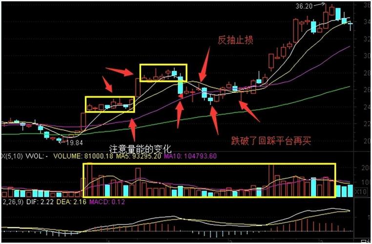 蚂蚁上树形态_股票上涨的信号图_135均线战法