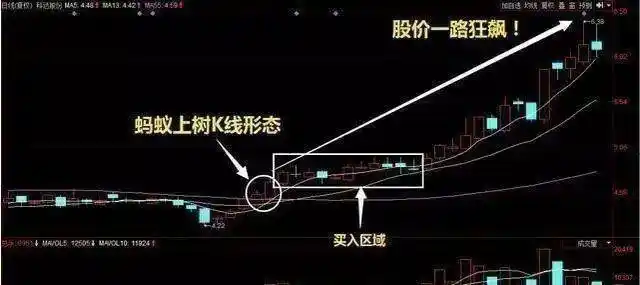 135均线战法_蚂蚁上树形态_股票上涨的信号图