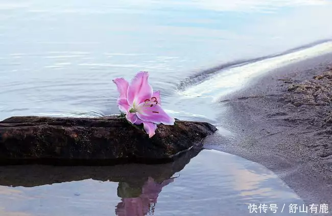 会算计才能赚钱？别算错方向，2026版Level2数据免费领